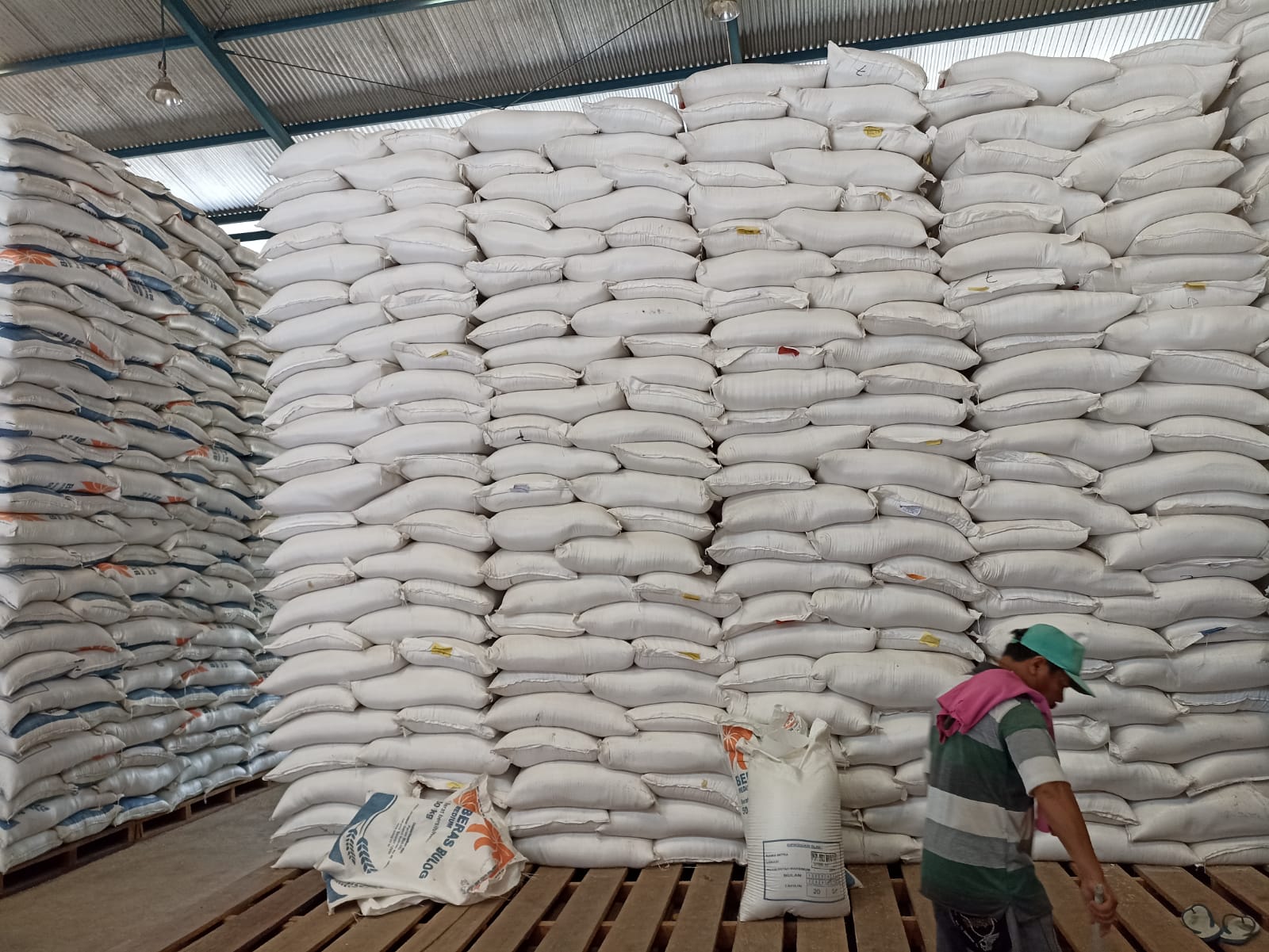 sebanyak-2000-ton-beras-belum-masuk-ke-gudang-bulog-timika-ini-penyebabnya